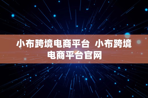 小布跨境电商平台  小布跨境电商平台官网