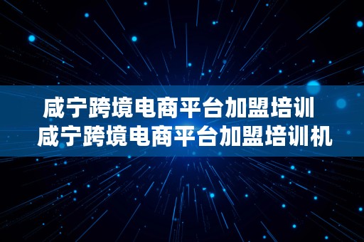 咸宁跨境电商平台加盟培训  咸宁跨境电商平台加盟培训机构