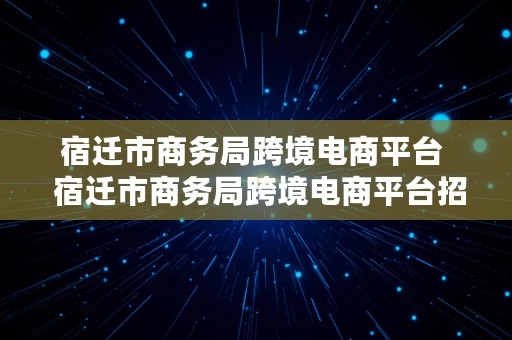 宿迁市商务局跨境电商平台  宿迁市商务局跨境电商平台招标