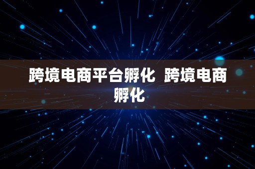 跨境电商平台孵化  跨境电商 孵化