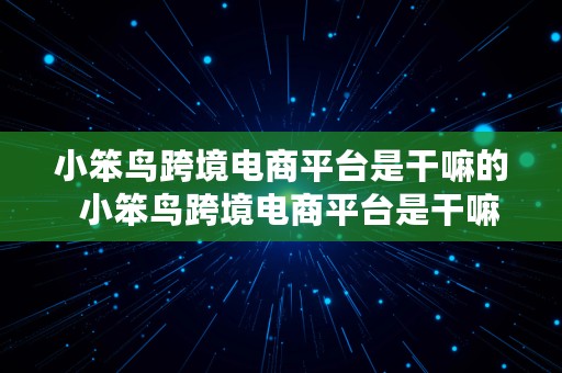 小笨鸟跨境电商平台是干嘛的  小笨鸟跨境电商平台是干嘛的啊