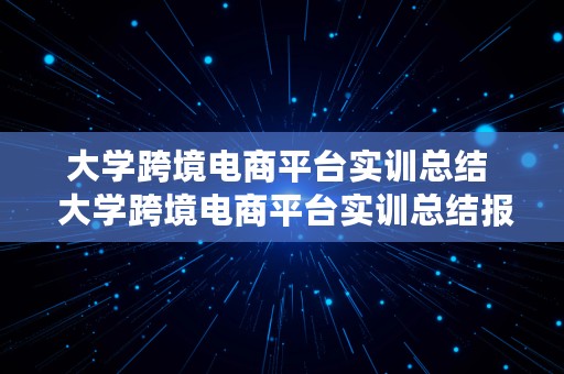 大学跨境电商平台实训总结  大学跨境电商平台实训总结报告