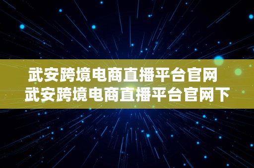 武安跨境电商直播平台官网  武安跨境电商直播平台官网下载