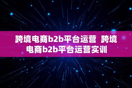 跨境电商b2b平台运营  跨境电商b2b平台运营实训