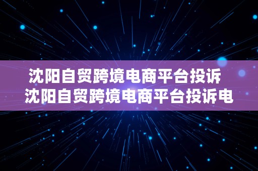 沈阳自贸跨境电商平台投诉  沈阳自贸跨境电商平台投诉电话