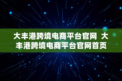 大丰港跨境电商平台官网  大丰港跨境电商平台官网首页