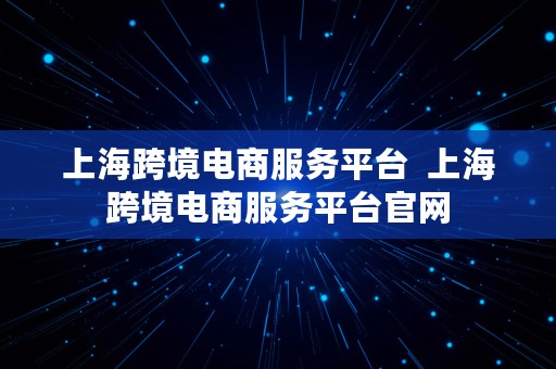 上海跨境电商服务平台  上海跨境电商服务平台官网