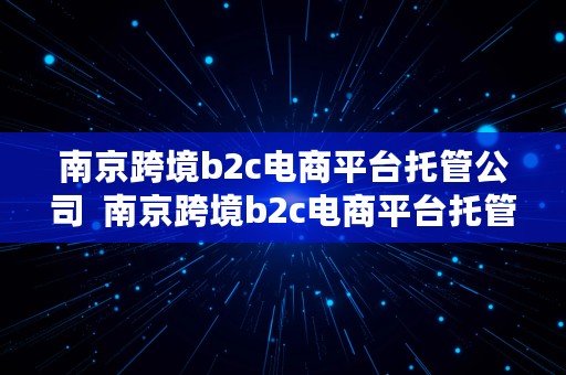 南京跨境b2c电商平台托管公司  南京跨境b2c电商平台托管公司有哪些