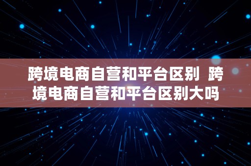 跨境电商自营和平台区别  跨境电商自营和平台区别大吗