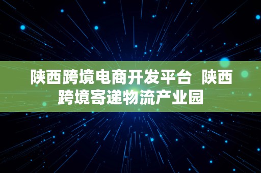 陕西跨境电商开发平台  陕西跨境寄递物流产业园