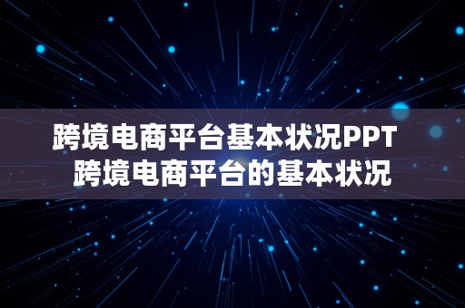 跨境电商平台基本状况PPT  跨境电商平台的基本状况