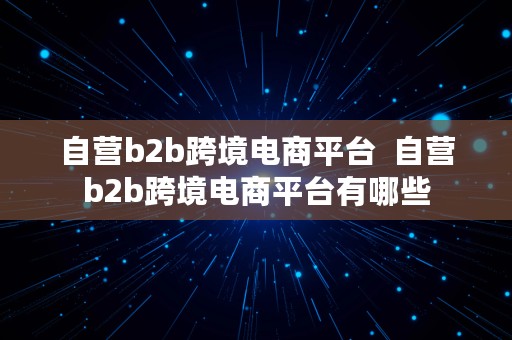 自营b2b跨境电商平台  自营b2b跨境电商平台有哪些