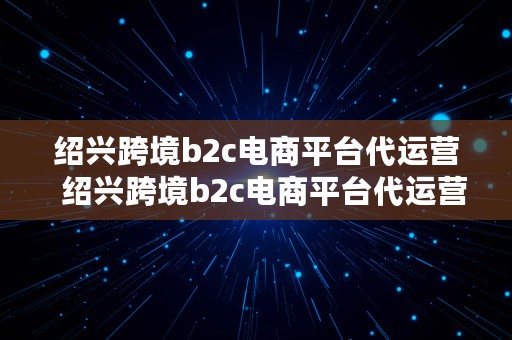 绍兴跨境b2c电商平台代运营  绍兴跨境b2c电商平台代运营公司