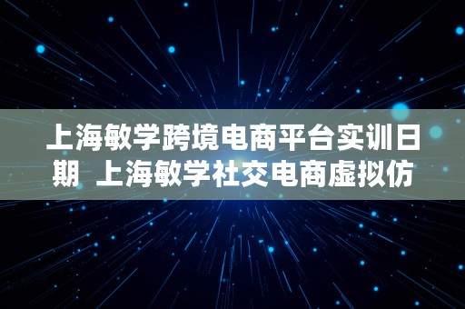 上海敏学跨境电商平台实训日期  上海敏学社交电商虚拟仿真平台