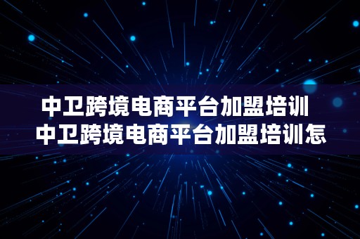 中卫跨境电商平台加盟培训  中卫跨境电商平台加盟培训怎么样