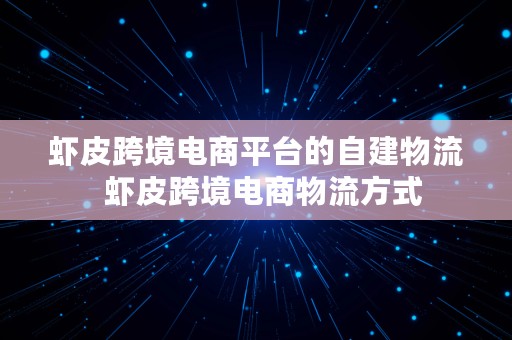 虾皮跨境电商平台的自建物流  虾皮跨境电商物流方式