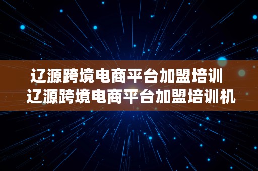 辽源跨境电商平台加盟培训  辽源跨境电商平台加盟培训机构