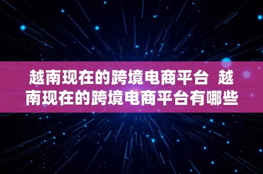 越南现在的跨境电商平台  越南现在的跨境电商平台有哪些