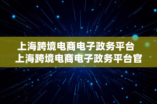 上海跨境电商电子政务平台  上海跨境电商电子政务平台官网