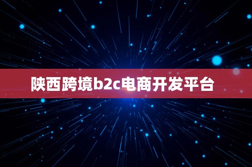 陕西跨境b2c电商开发平台  