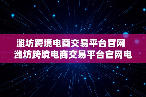 潍坊跨境电商交易平台官网  潍坊跨境电商交易平台官网电话