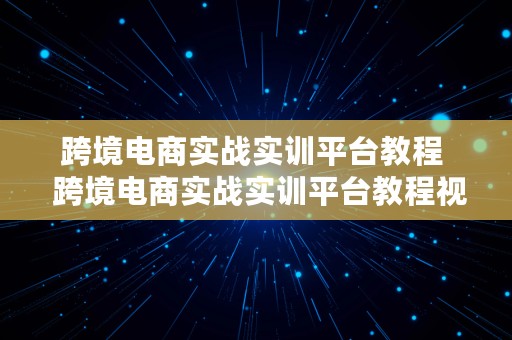 跨境电商实战实训平台教程  跨境电商实战实训平台教程视频