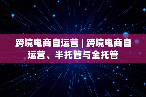 跨境电商自运营 | 跨境电商自运营、半托管与全托管