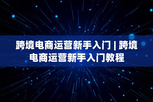 跨境电商运营新手入门 | 跨境电商运营新手入门教程