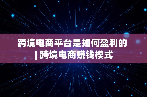 跨境电商平台是如何盈利的 | 跨境电商赚钱模式