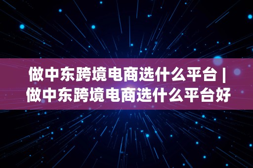 做中东跨境电商选什么平台 | 做中东跨境电商选什么平台好