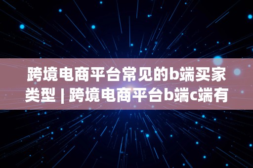 跨境电商平台常见的b端买家类型 | 跨境电商平台b端c端有哪些