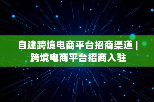 自建跨境电商平台招商渠道 | 跨境电商平台招商入驻