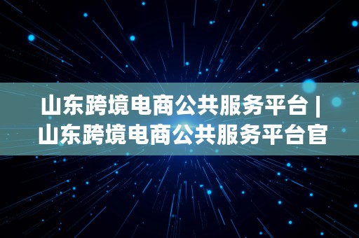 山东跨境电商公共服务平台 | 山东跨境电商公共服务平台官网