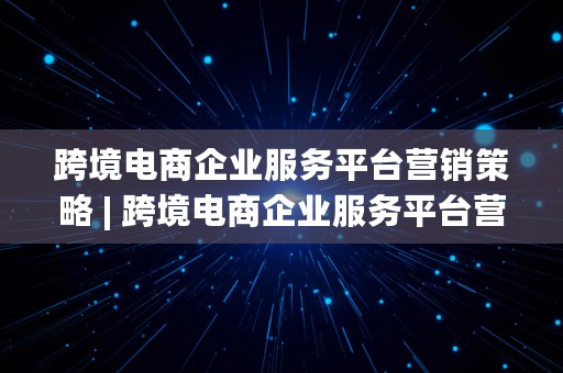 跨境电商企业服务平台营销策略 | 跨境电商企业服务平台营销策略研究