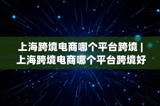 上海跨境电商哪个平台跨境 | 上海跨境电商哪个平台跨境好