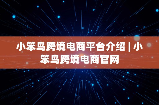 小笨鸟跨境电商平台介绍 | 小笨鸟跨境电商官网