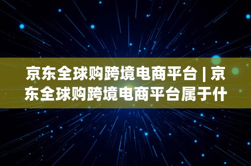 京东全球购跨境电商平台 | 京东全球购跨境电商平台属于什么类型