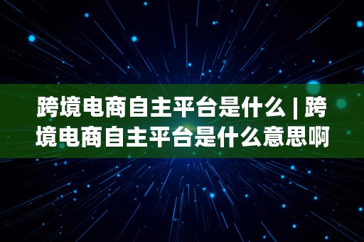 跨境电商自主平台是什么 | 跨境电商自主平台是什么意思啊