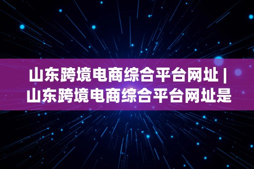 山东跨境电商综合平台网址 | 山东跨境电商综合平台网址是什么