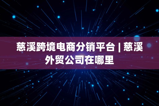 慈溪跨境电商分销平台 | 慈溪外贸公司在哪里