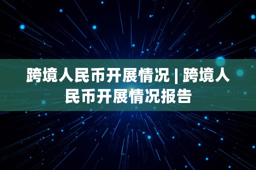 跨境人民币开展情况 | 跨境人民币开展情况报告