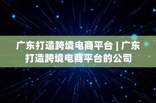 广东打造跨境电商平台 | 广东打造跨境电商平台的公司