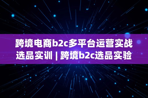 跨境电商b2c多平台运营实战选品实训 | 跨境b2c选品实验报告