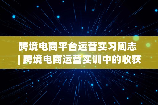 跨境电商平台运营实习周志 | 跨境电商运营实训中的收获与体会