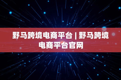 野马跨境电商平台 | 野马跨境电商平台官网