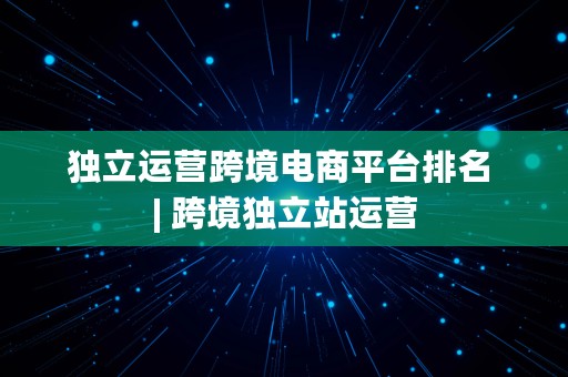 独立运营跨境电商平台排名 | 跨境独立站运营