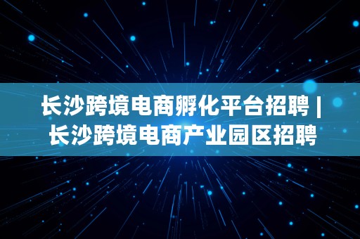 长沙跨境电商孵化平台招聘 | 长沙跨境电商产业园区招聘