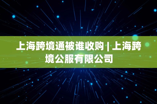 上海跨境通被谁收购 | 上海跨境公服有限公司