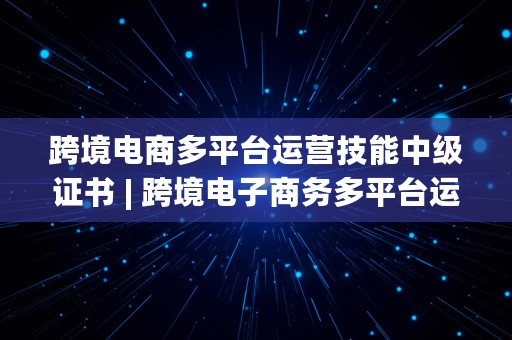 跨境电商多平台运营技能中级证书 | 跨境电子商务多平台运营职业技能等级证书