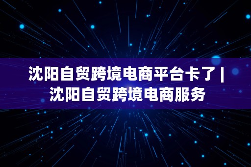 沈阳自贸跨境电商平台卡了 | 沈阳自贸跨境电商服务